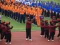 Tn DSC 7440